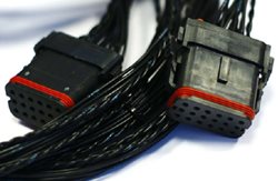 InteliDrive WP Harness-2 